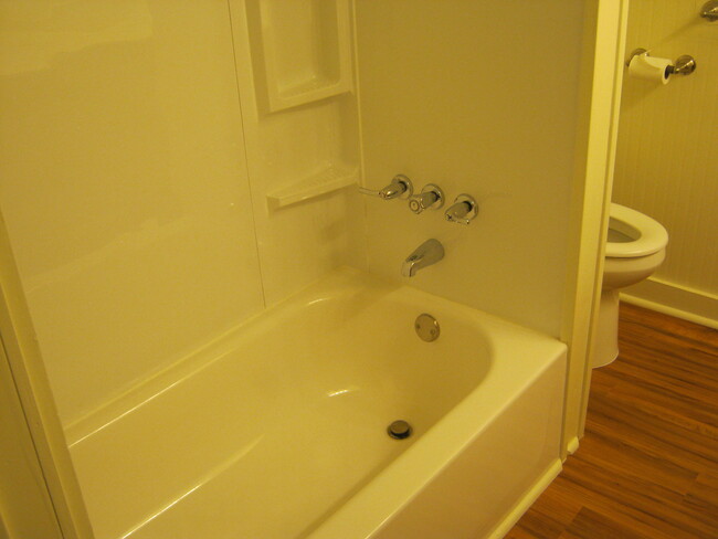 Full bath with tank-less hot water heater. - 1125 E Moses St