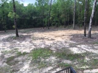 Building Photo - 6206 Lake Ella Rd