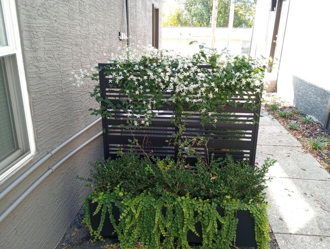 Building Photo - 2 Bedroom/1 Bath Garden Style Apartment av...