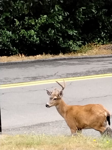 Primary Photo - 2641 Irving Ave