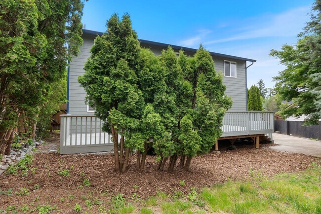 Building Photo - Beautiful Home in Winchester Hills