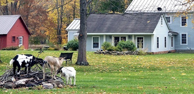 Building Photo - 257 Main St