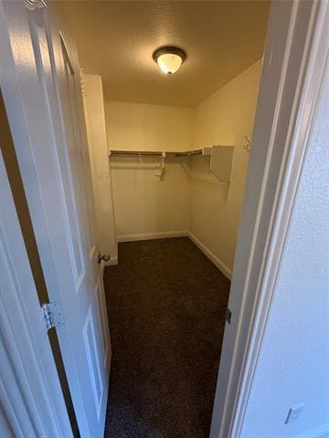 Building Photo - 3101 Spanish Oak Trail