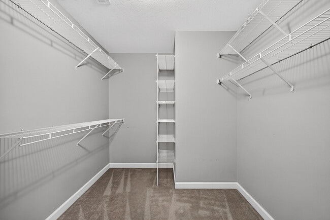 Building Photo - 217 Stagecoach Dr