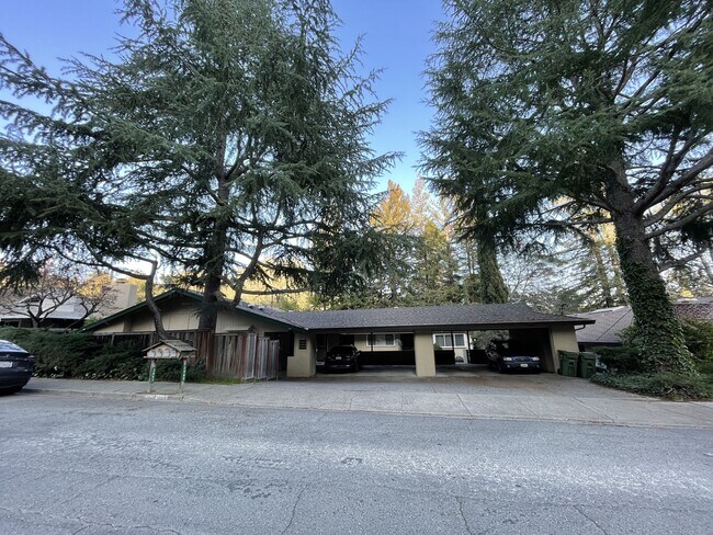 Building Photo - 2063 Donald Dr