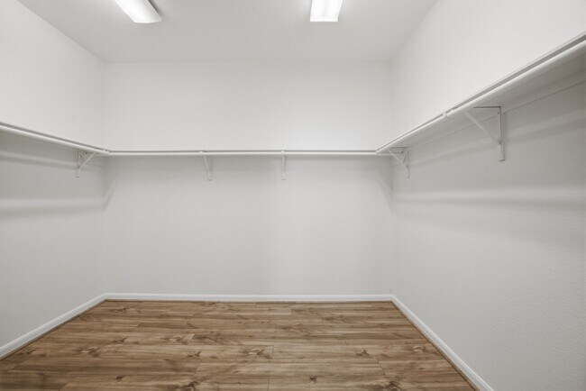 Building Photo - 11103 Avery Oaks Ln