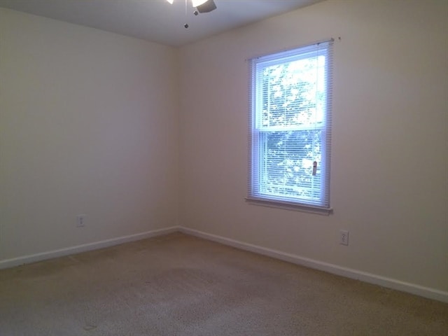Building Photo - 304 Stafford Ct