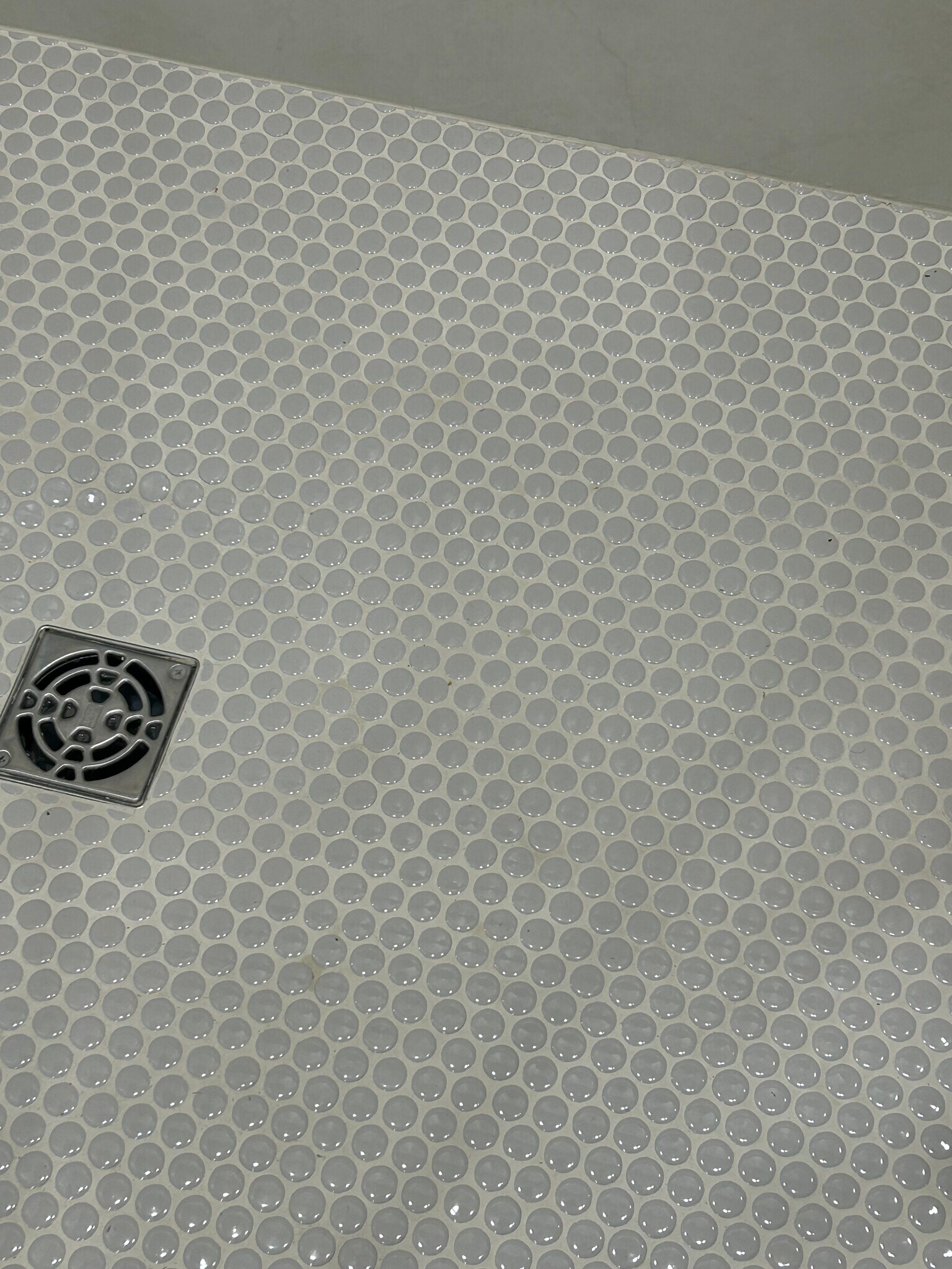 Shower - 6859 SW 37th St