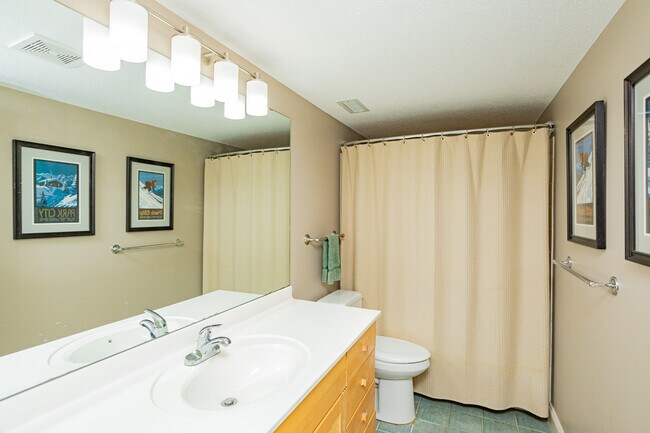 Lower level Bath - 515 River St