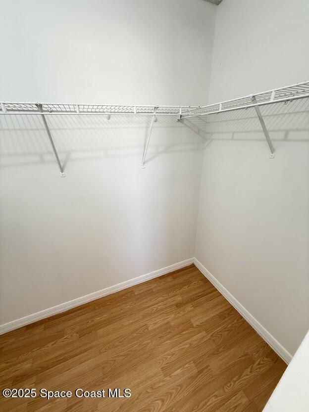 Building Photo - 3193 Brentwood Ln