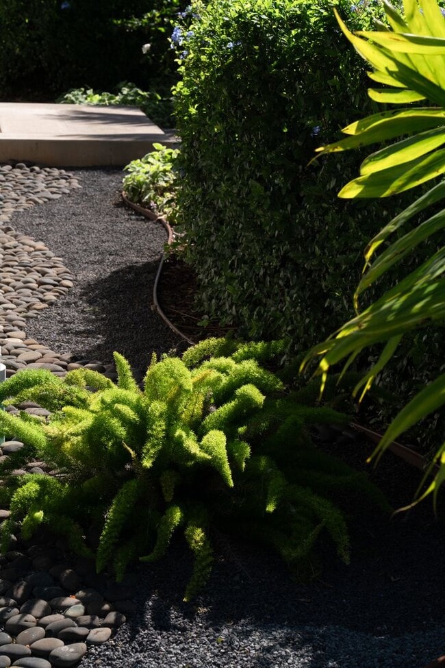 Building Photo - Elevated Haiku Retreat with Ocean Views, Designer Finishes & a Lush Edible Garden Sanctuary