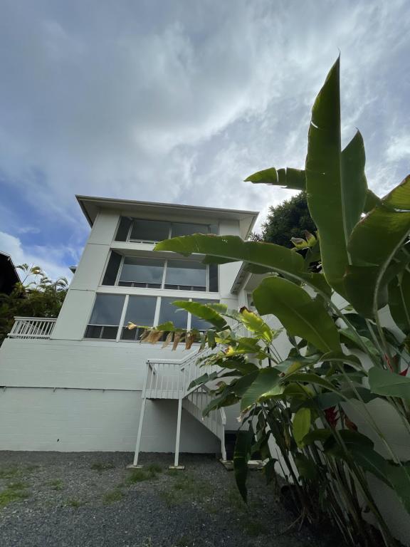 Building Photo - 47-218 Kamehameha Hwy 1st floor