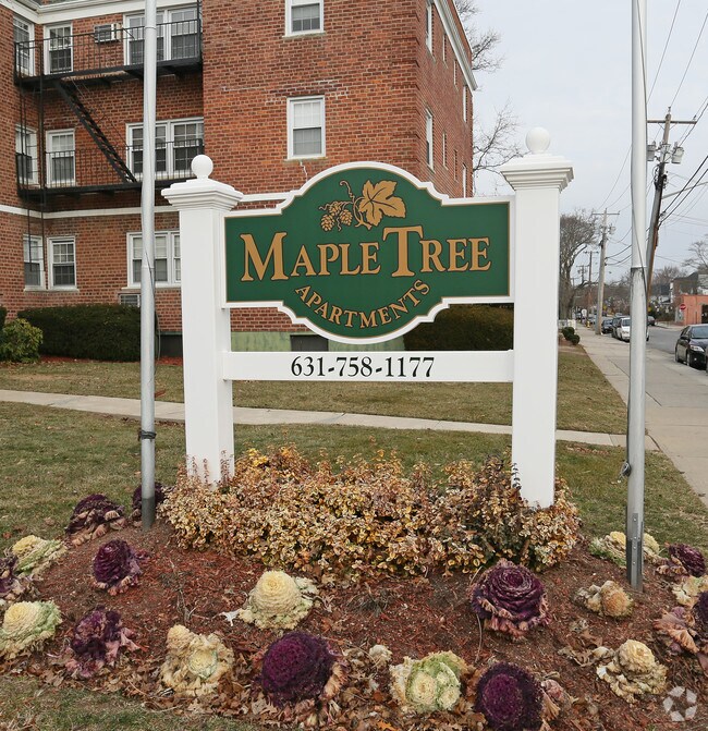 Maple Tree Apartments 9098 Maple Ave Patchogue NY 11772 Apartment