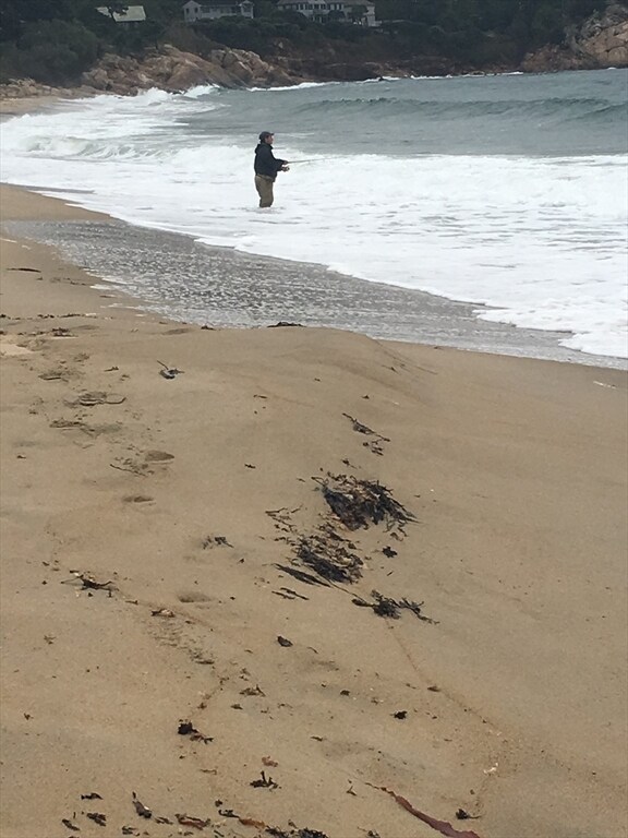 Building Photo - 22 Morse Ct