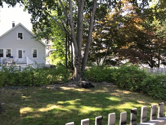 Building Photo - 270 Willow St