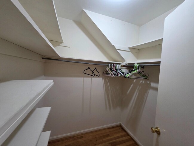Building Photo - 8120 Paisley Pl