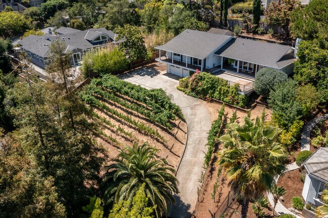 Building Photo - 920 Stagi Ct