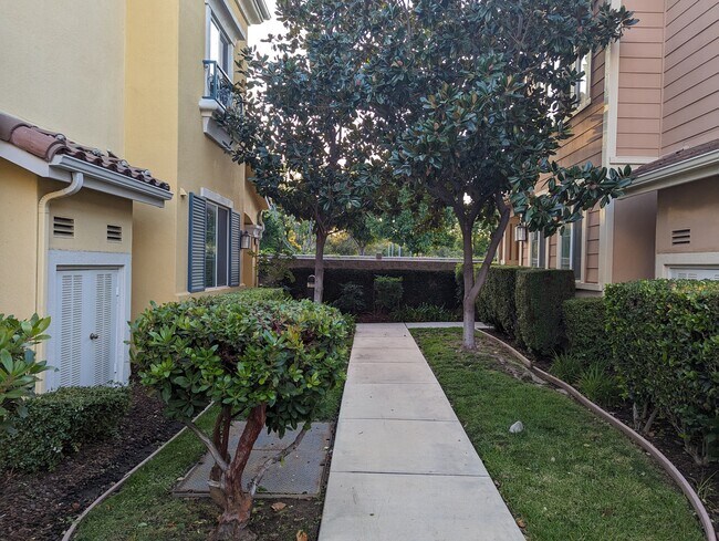 Pathway to home - 2911 Esperanza Way