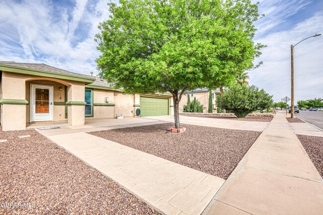 Building Photo - 6289 Cosecha Luna Cir