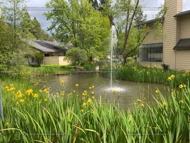 Building Photo - Single level condo in one of the nicest developments in Bennett Valley