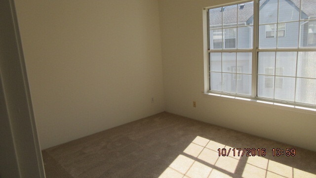 Building Photo - 113 Amelia Ct