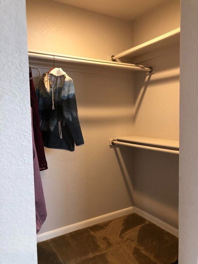 Building Photo - Charming 4 Bd, 2 Ba, Ranch Home in D-12 School District, close to Downtown, Trails and Ft. Carson