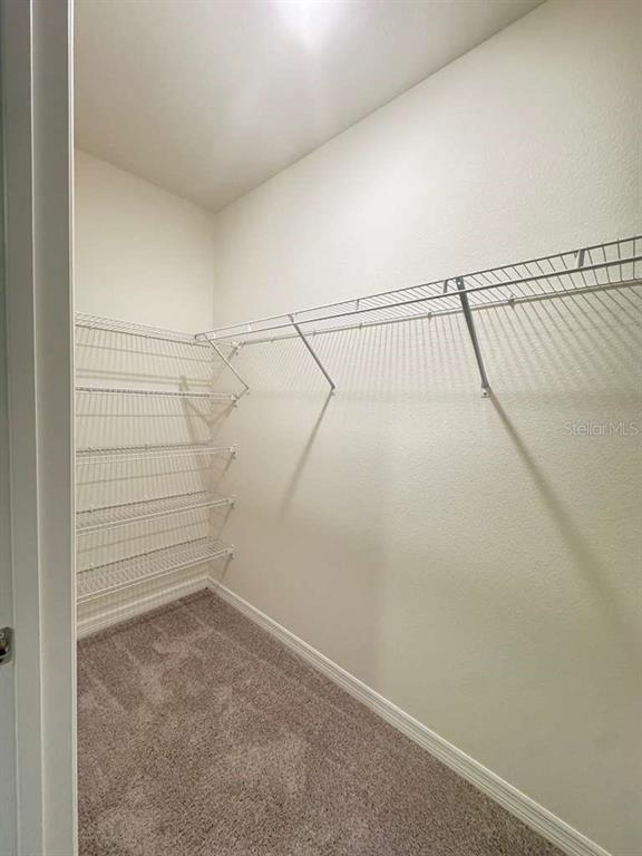 Building Photo - 1960 Tamarack Pass