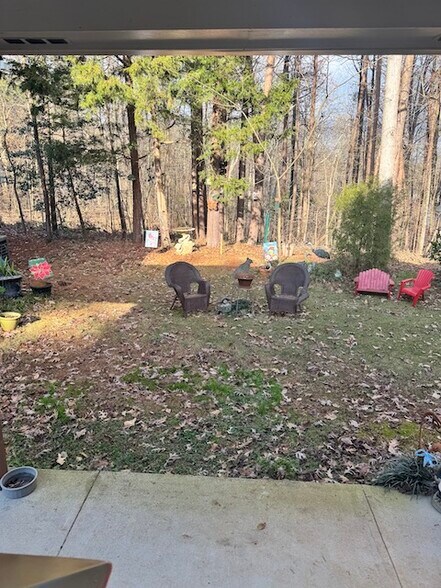 Yard view - 4640 Chestatee Pointe