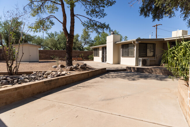 Backyard view south. - 4860 N 15th Pl