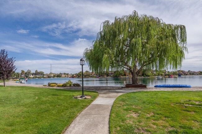 Building Photo - Harborside Waterfront 4 Bed/2.5 Bath Townhouse in Foster City