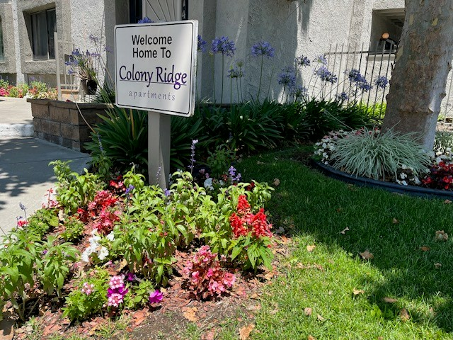 Building Photo - Colony Ridge Apartments