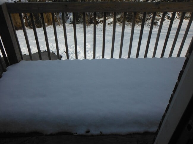 Building Photo - 1212 Shelby Ave