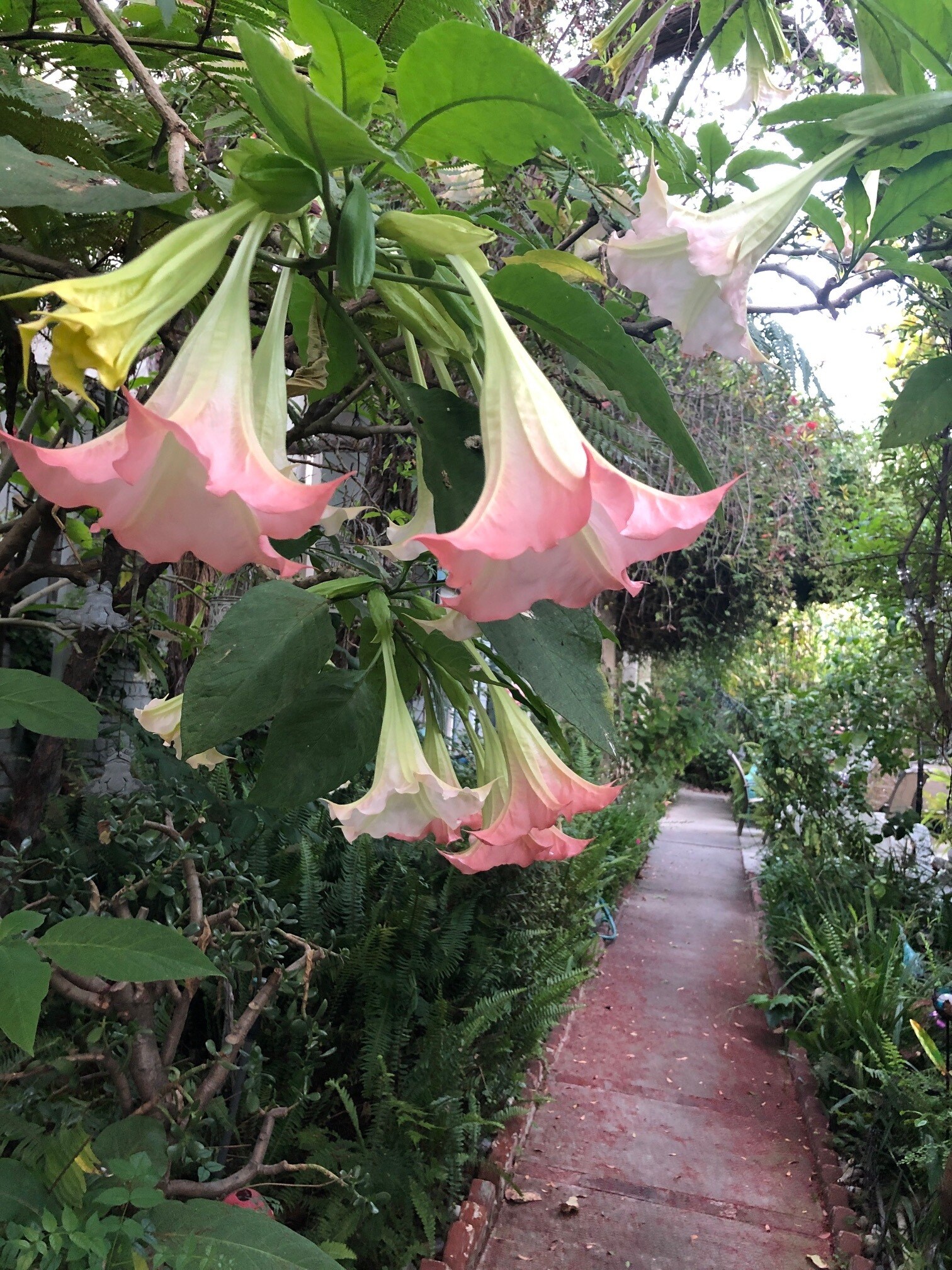 Building Photo - 2024 Argyle Ave