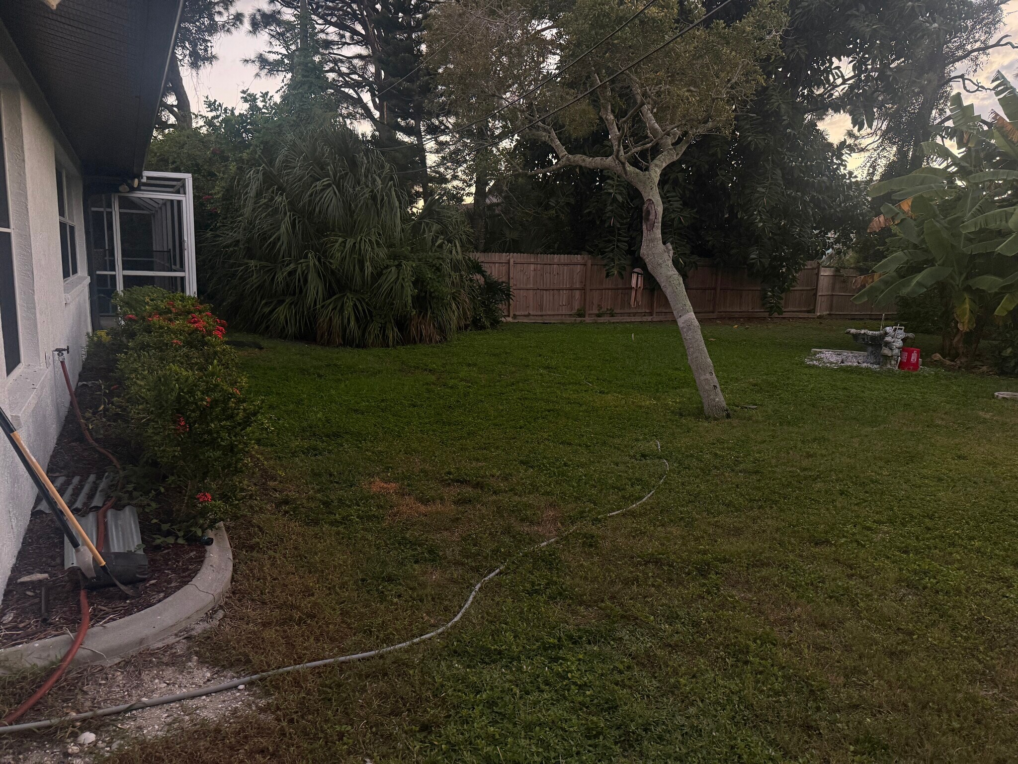 Back Yard - 5780 Osprey Rd