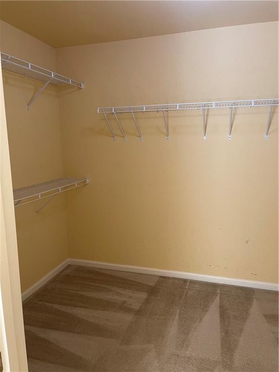 Building Photo - 1594 Hampton Hollow Trail