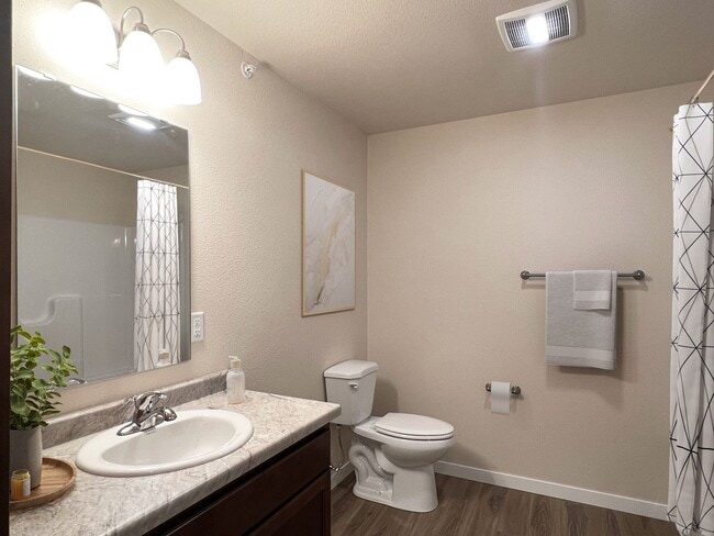 Interior Photo - SCS Chilton Apartment Community