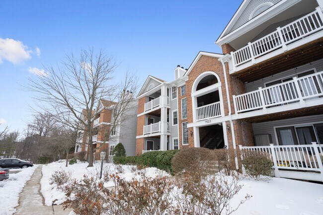 Building Photo - 7503 Ashby Ln