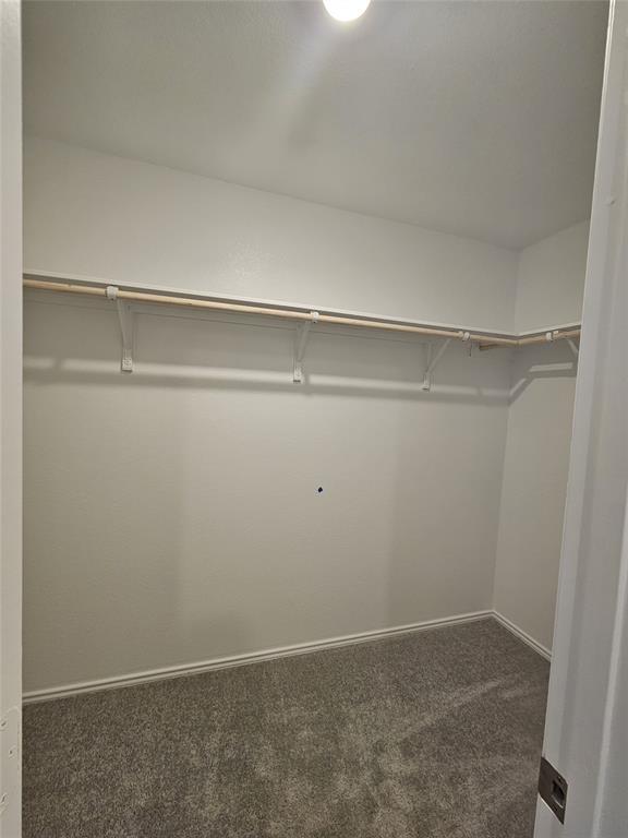 Building Photo - 2304 Blizzard Dr