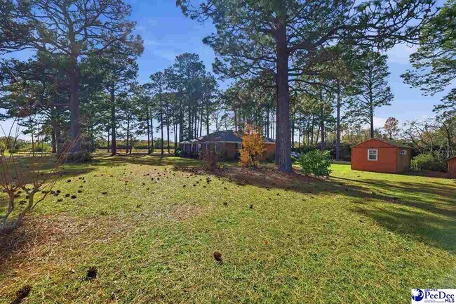 Building Photo - 2218 N Douglas St