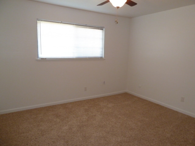 Building Photo - 3 Bedroom 1 Bath Home In Anderson