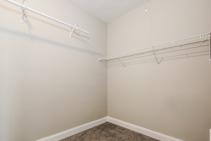 Building Photo - 905 Vandiver Ct