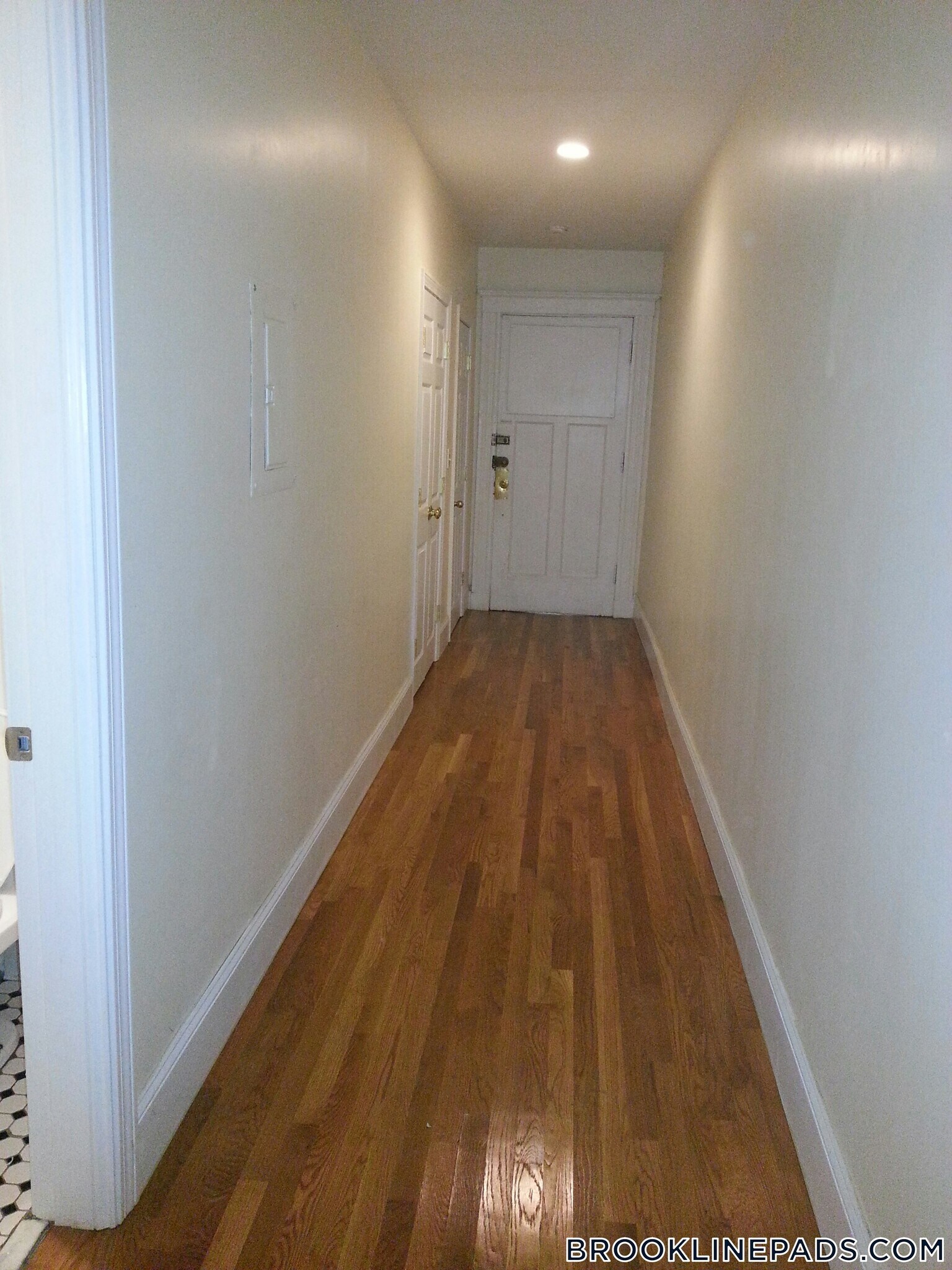 Building Photo - 66 Egmont St