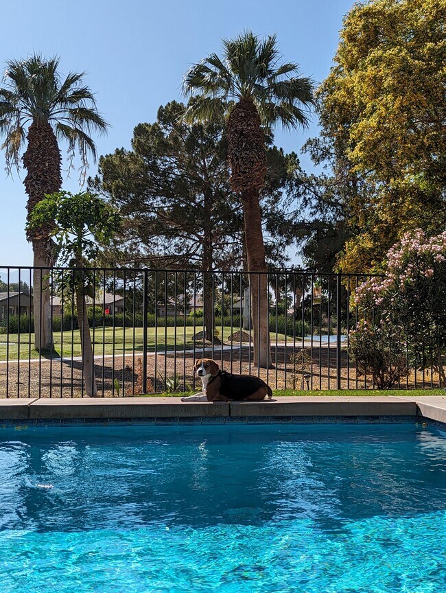 Building Photo - 49345 Beatty St