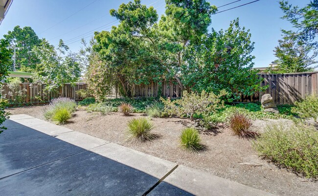 Building Photo - Wonderful Atrium Eichler in the Heart of Greenmeadow