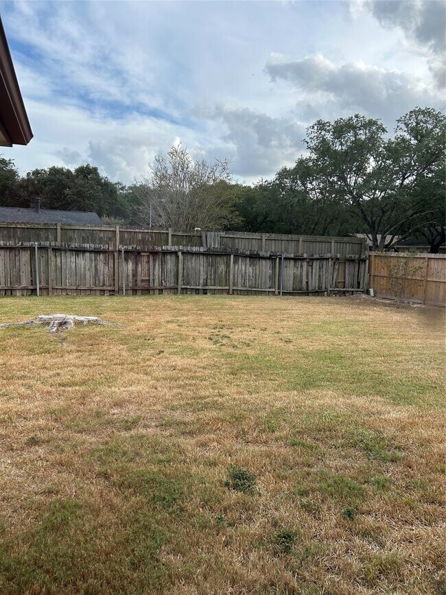 Building Photo - 3919 Coltwood Dr