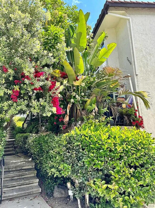 Building Photo - 2406 Altisma Way