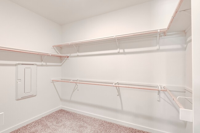 Building Photo - 625 Promise Land Ct