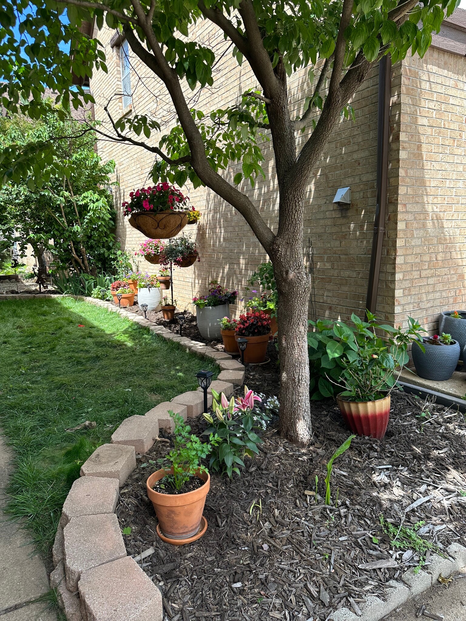 Side Garden - 2515 S Florence Pl