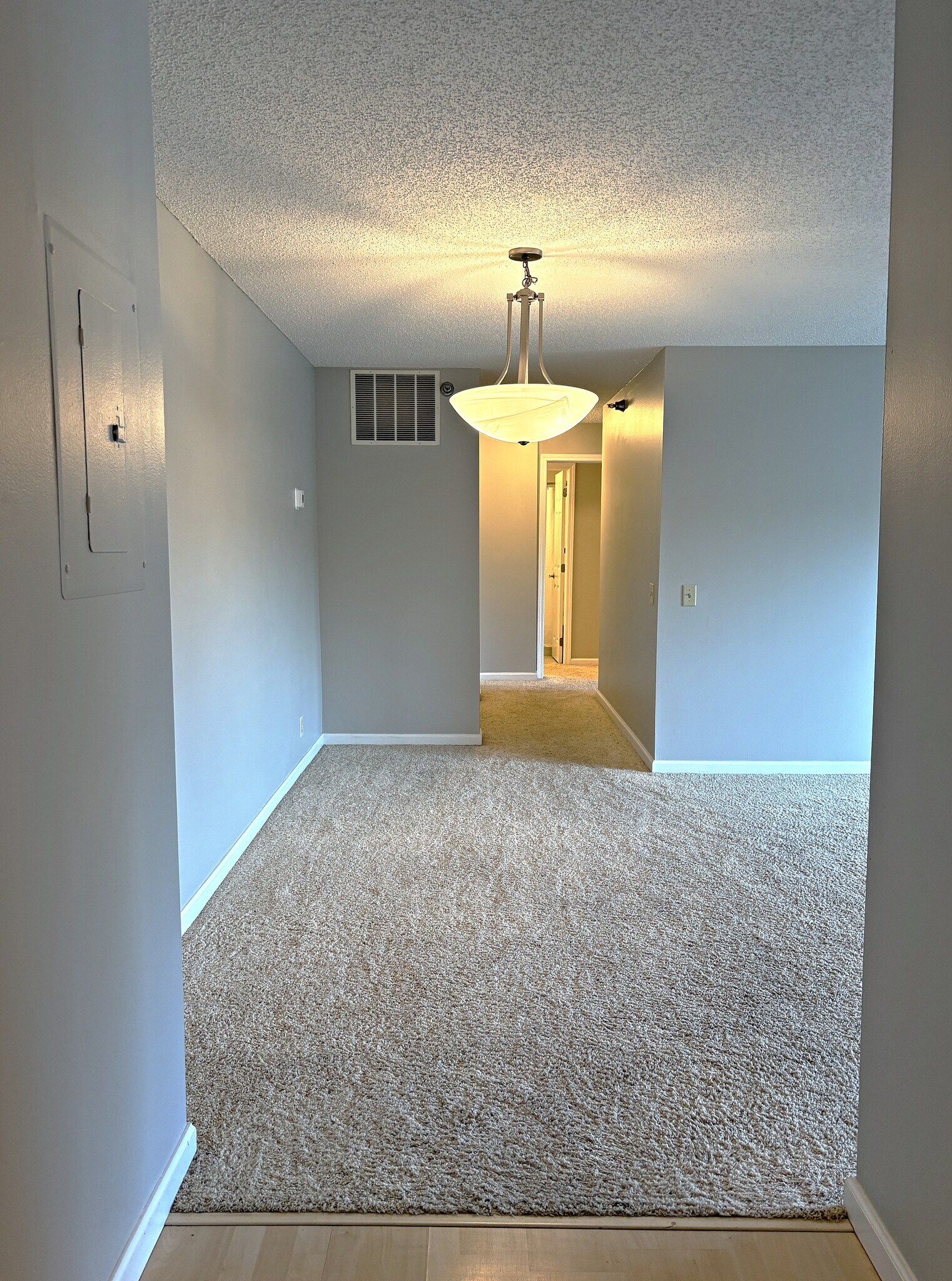 Dining and Hallway - 6155 Chasewood Pkwy