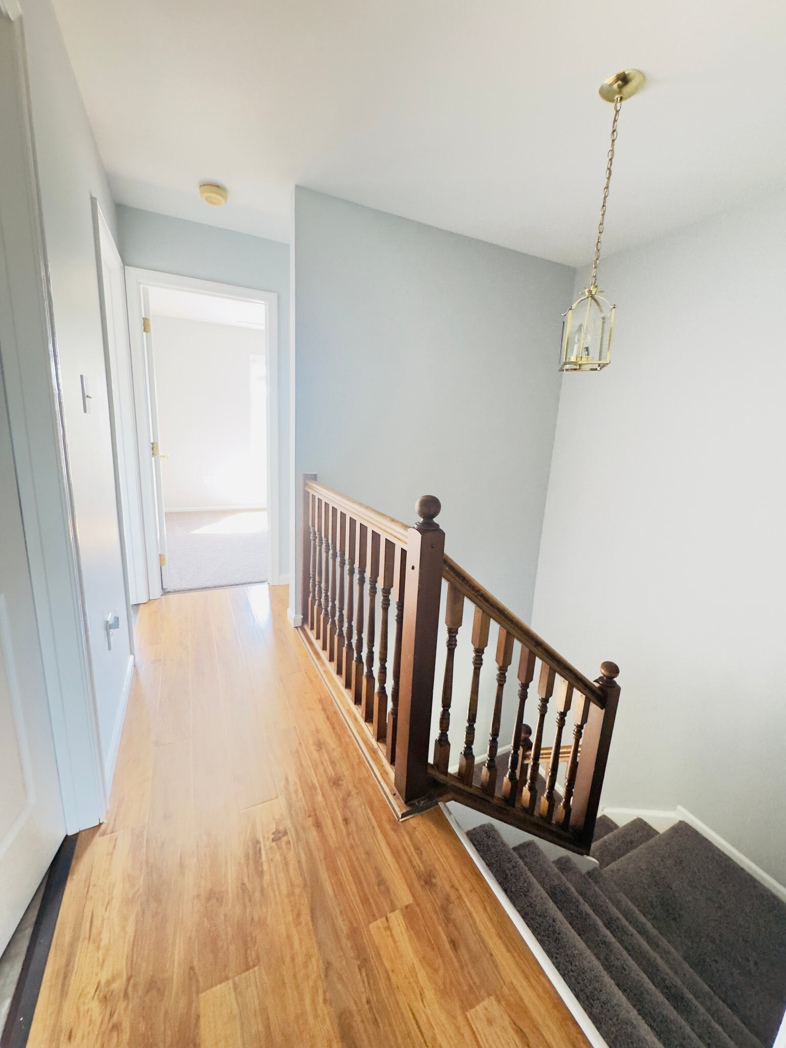 Building Photo - 50 Versailles Ct